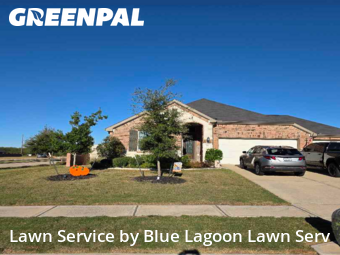 Lawn Servicein Rosenberg,77471,Grass Cut by Blue Lagoon Lawn Serv, work completed in Dec , 2025
