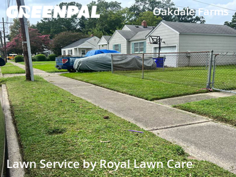 Grass Cut nearby Norfolk, VA, 