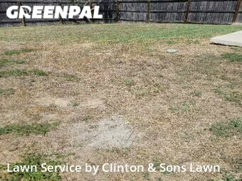 Lawn Care nearby San Antonio, TX, 