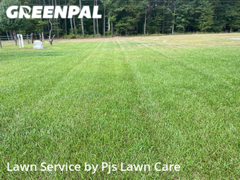 Lawn Cut nearby Clayton, NC, 