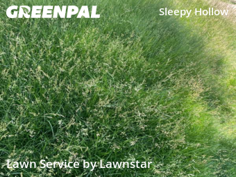 Landscaping Renovation In Amarillo,79121,Landscapers by Lawnstar , work completed in Oct , 2025