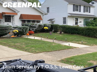Lawn Service nearby Euclid, OH, 