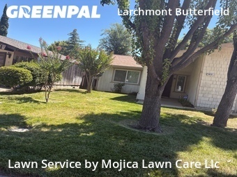 Landscaping Installation Sacramento,95827,Landscaping Renovation by Mojica Lawn Care Llc, work completed in Jun , 2026