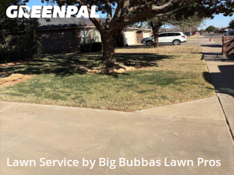Yard Cutting nearby Lubbock, TX, 