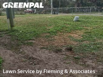 Lawn Cut nearby Jacksonville, FL, 