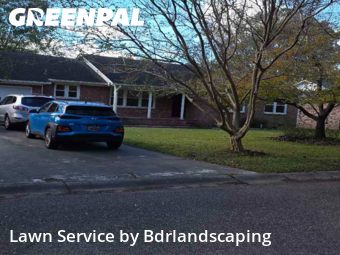 Lawn Services in Summerville, 29483, Yard Upkeep by Bdrlandscaping, work completed in Nov , 2025