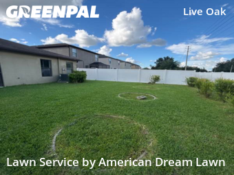 Grass Cut nearby Tampa, FL, 