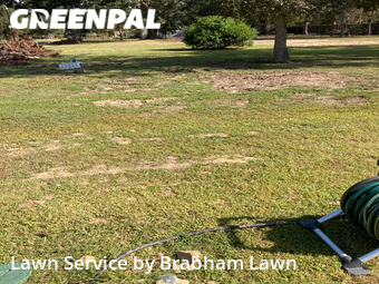 Lawn Service nearby Baton Rouge, LA, 