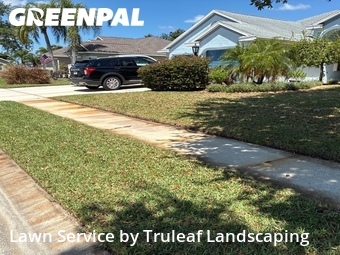Lawn Cut nearby Bradenton, FL, 