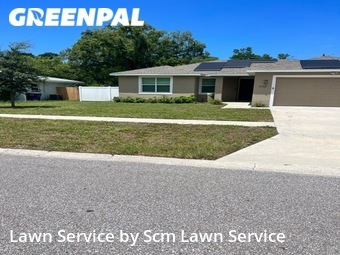 Lawn Cut nearby Clearwater, FL, 