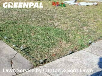 Lawn Mow nearby Converse, TX, 