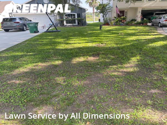 Grass Cutting nearby Wesley Chapel, FL, 