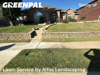 Lawn Cutting in Carrollton, 75007, Lawn Upkeep by Alfas Landscaping, work completed in Oct , 2025