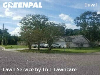 Grass Cut nearby Jacksonville, FL, 