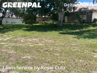 Yard Cutting nearby Deltona, FL, 