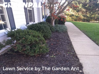 Lawn Mowing nearby Ballwin, MO, 