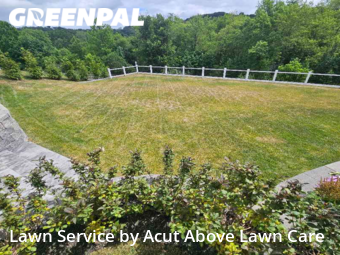 Lawn Cutting nearby Bridgeville, PA, 