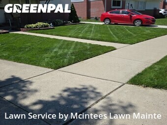 Lawn Service nearby Southgate, MI, 