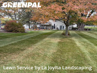 Lawn Mow nearby Mokena, IL, 