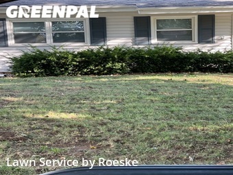 Yard Cutting nearby Normal, IL, 