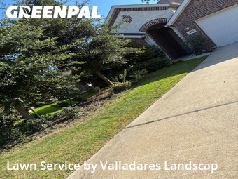 Lawn Service nearby Willis, TX, 