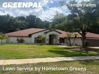 Landscaper In Tampa,33647,Landscapers by Hometown Greens , work completed in Jun , 2026