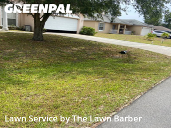 Yard Cutting nearby Palm Bay, FL, 