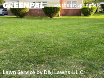 Grass Cut nearby Springfield, MO, 