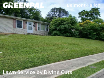 Grass Cut nearby Roanoke, VA, 