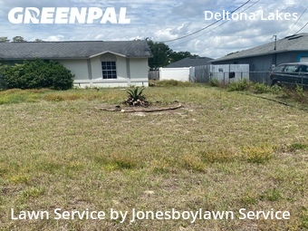 Yard Cutting nearby Deltona, FL, 