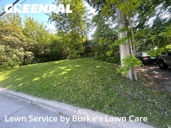 Yard Mowing nearby Minneapolis, MN, 