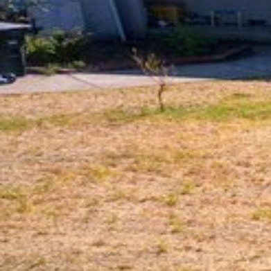Lawn mowing work by Three Pillars Landsca in Davis, CA