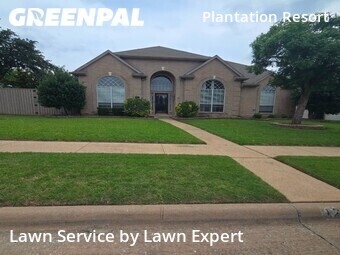 Lawn Cut nearby Frisco, TX, 
