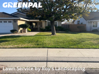 Lawn Maintenance nearby Stockton, CA, 