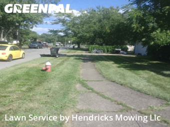 Yard Upkeep in Elyria, 44035, Backyard Mowing by Hendricks Mowing Llc, work completed in Dec , 2025