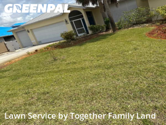 Grass Cut nearby Port Charlotte, FL, 