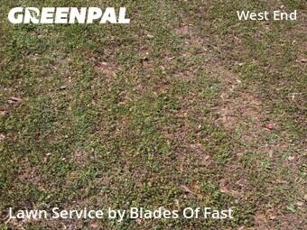 Lawn Care nearby Atlanta, GA, 