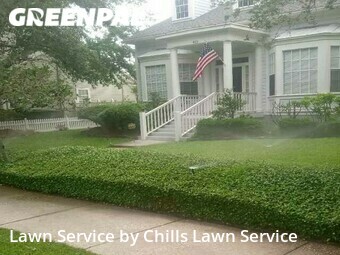 Yard Upkeep in Celebration, 34747, Yard Care by Chills Lawn Service , work completed in Oct , 2025