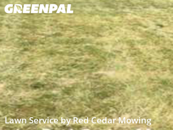 Lawn Mow nearby Lansing, MI, 