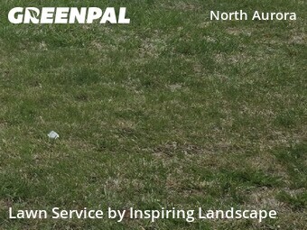 Lawn Carein Aurora,80010,Grass Cutting by Inspiring Landscape, work completed in Jun , 2026