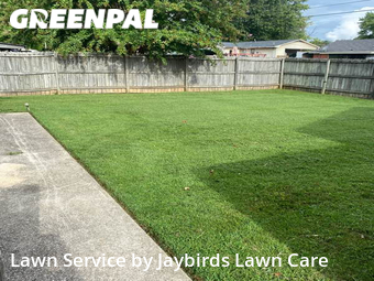 Lawn Cut nearby Decatur, AL, 