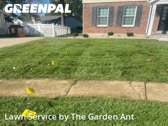 Lawn Cutin Chesterfield,63017,Yard Cutting by The Garden Ant , work completed in Dec , 2025
