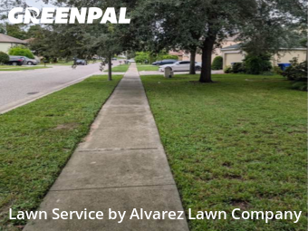 Grass Cuttingin Ocoee,34761,Yard Mowing by Alvarez Lawn Company, work completed in Nov , 2025