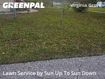Yard Cutting nearby Clearwater, FL, 
