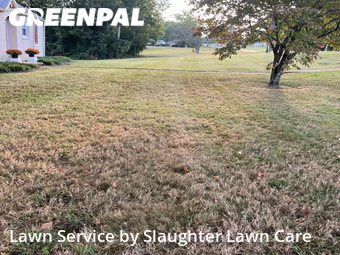 Lawn Mowing nearby Powell, TN, 