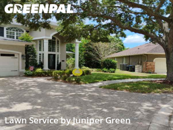 Grass Cut nearby Tampa, FL, 