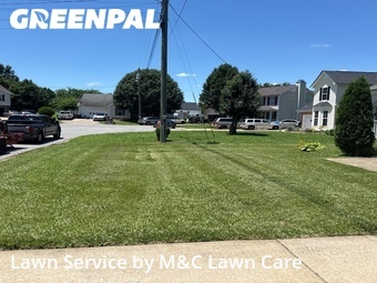 Yard Cutting nearby Clarksville, TN, 