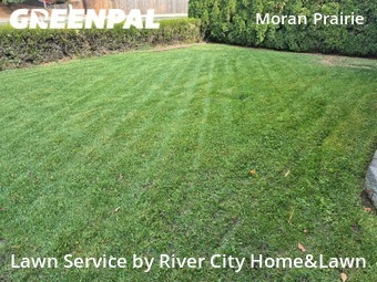 Yard Cutting nearby Spokane, WA, 
