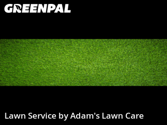 Lawn Care nearby St. Louis, MO, 