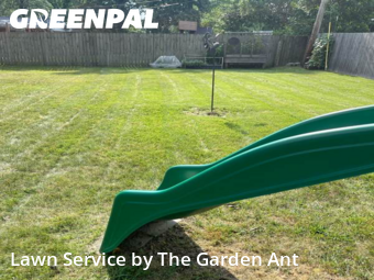 Yard Mowing nearby St. Louis, MO, 